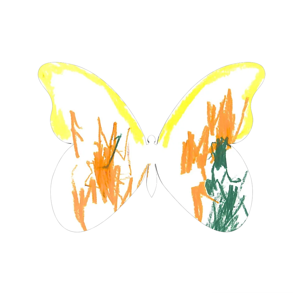 Original Butterfly Image