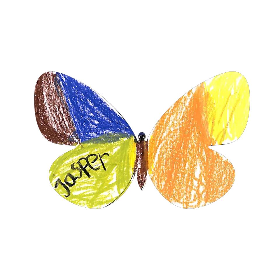 Original Butterfly Image