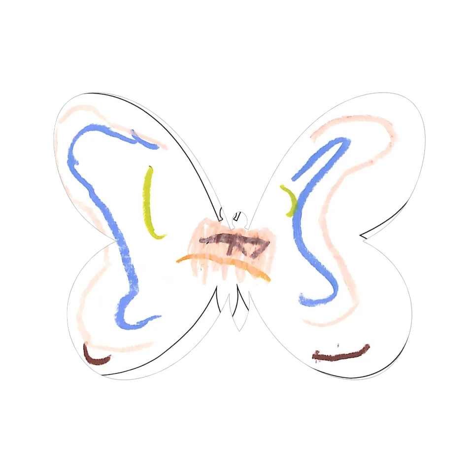 Original Butterfly Image