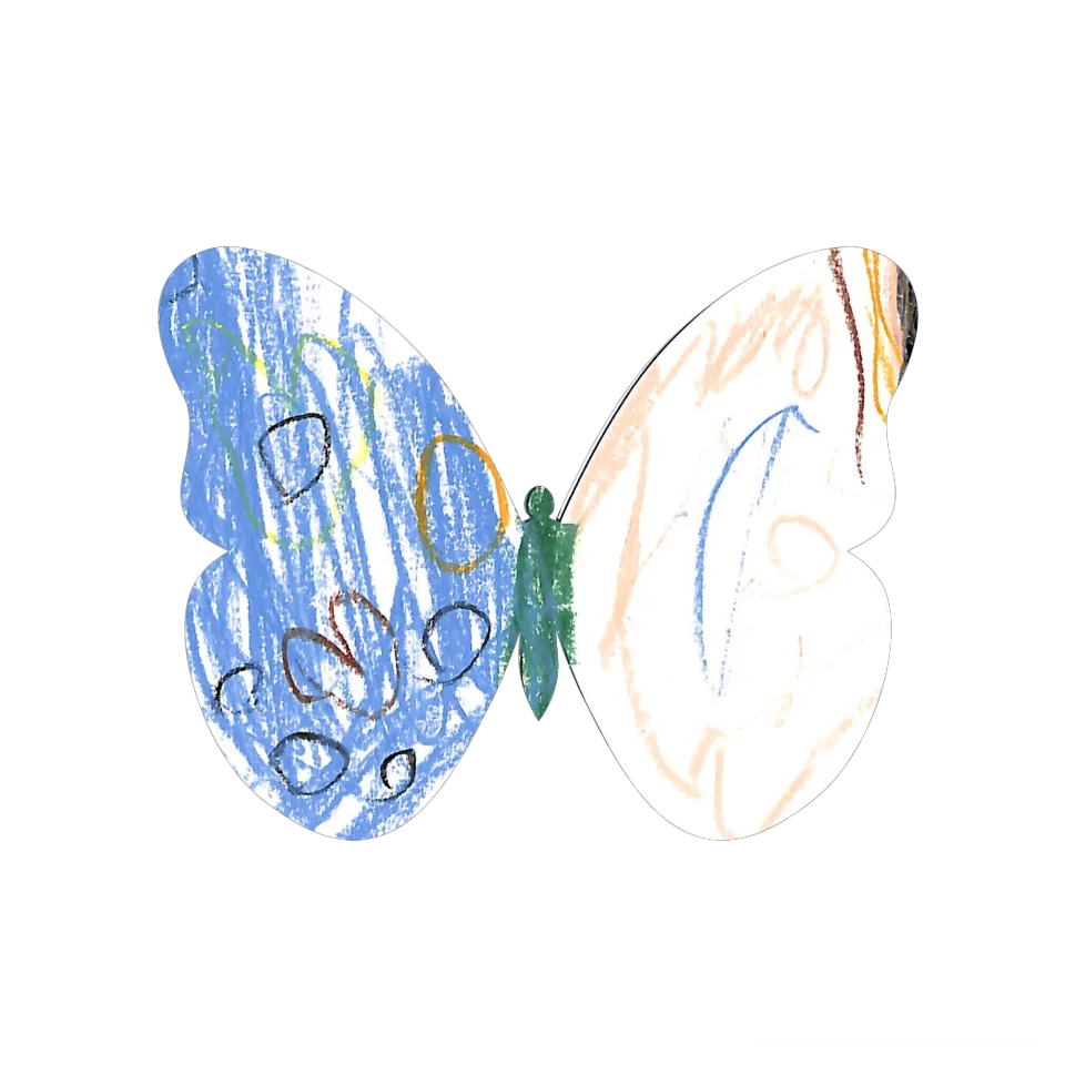 Original Butterfly Image
