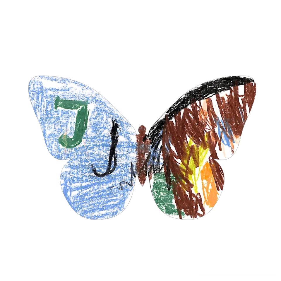 Original Butterfly Image