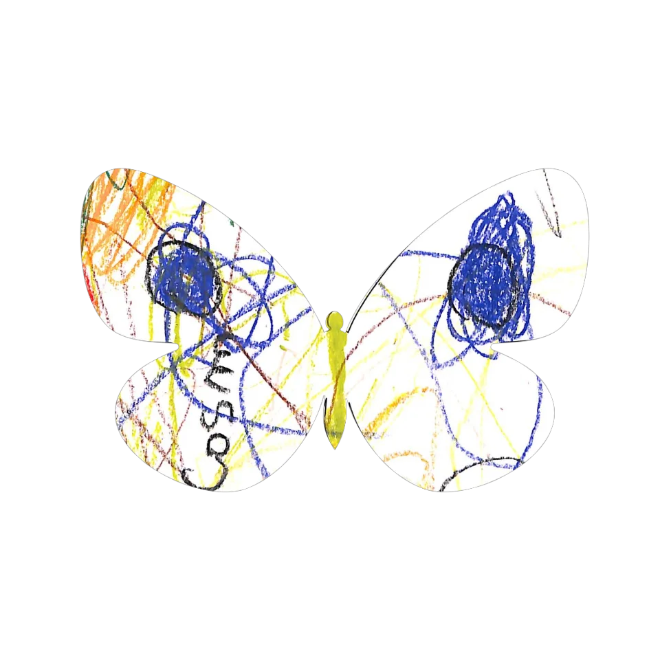 Original Butterfly Image