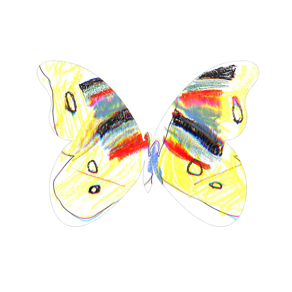 Original Butterfly Image