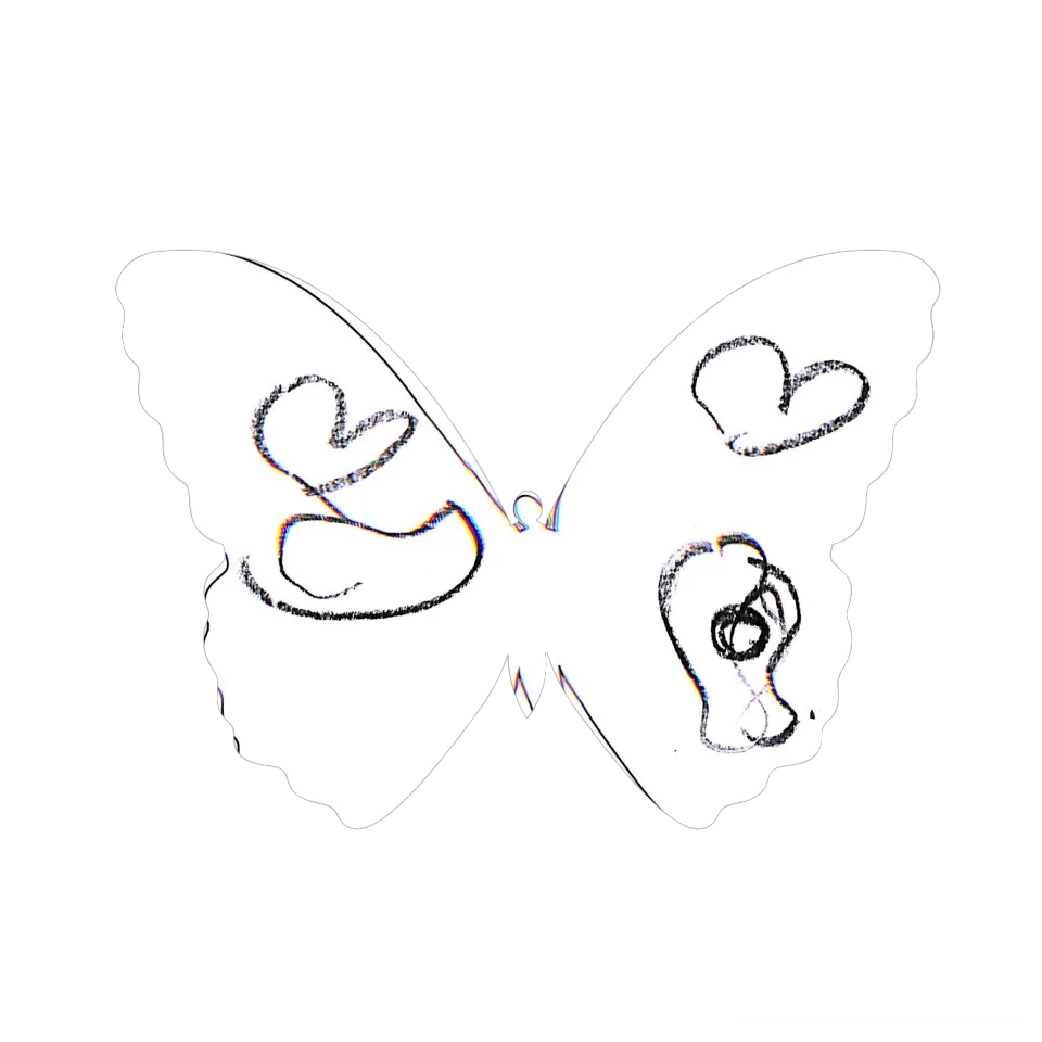 Original Butterfly Image