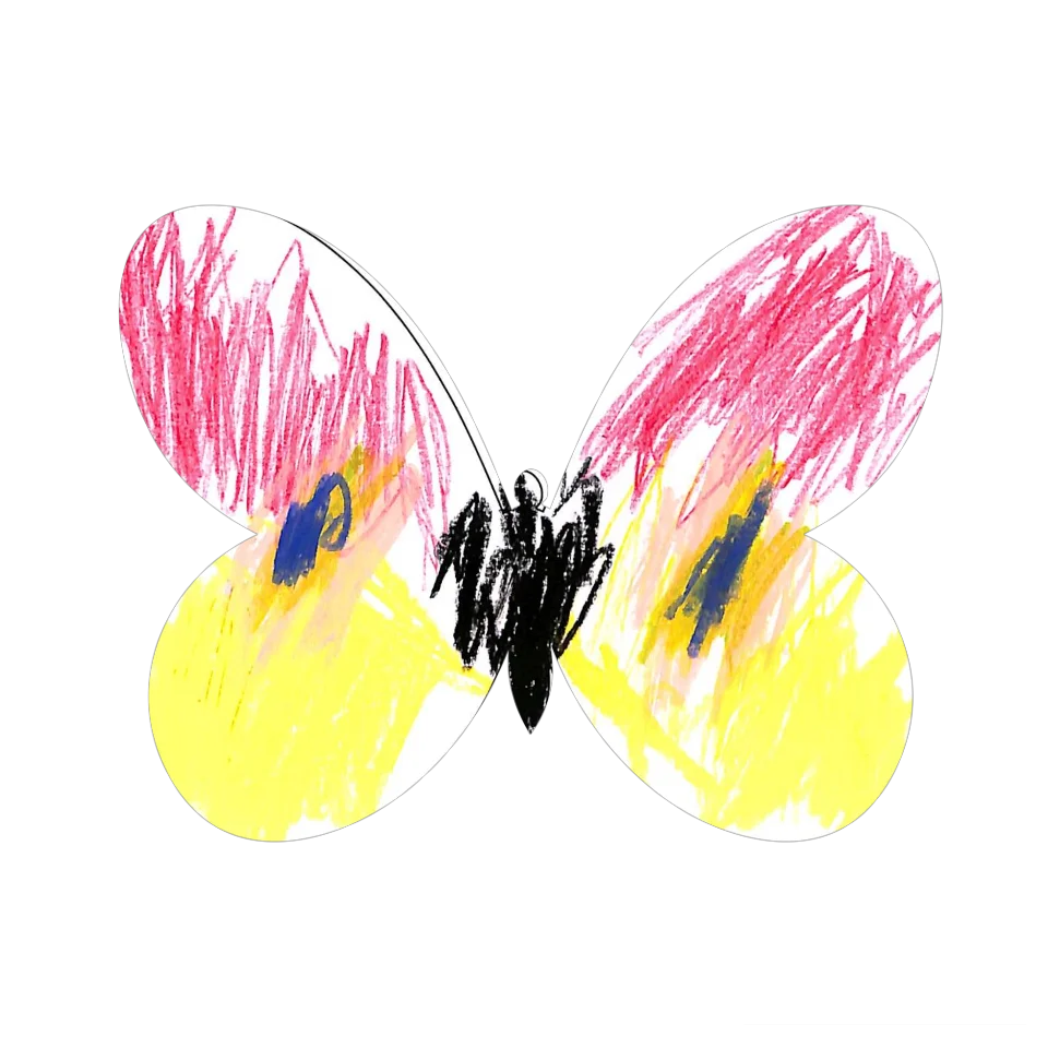 Original Butterfly Image