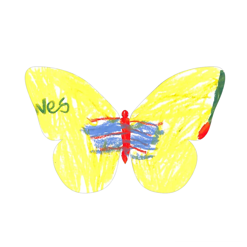 Original Butterfly Image