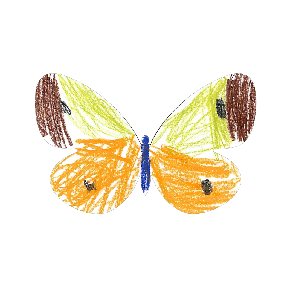 Original Butterfly Image