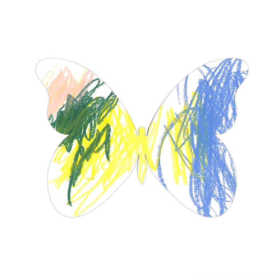 Original Butterfly Image