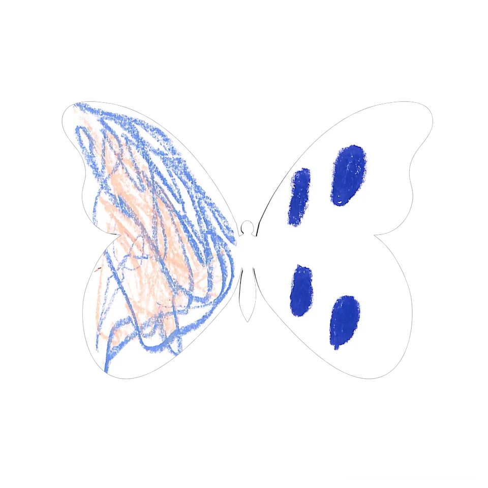 Original Butterfly Image