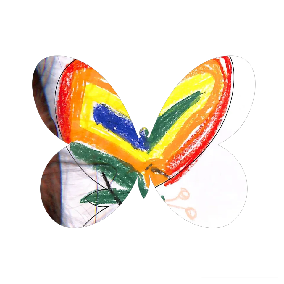 Original Butterfly Image