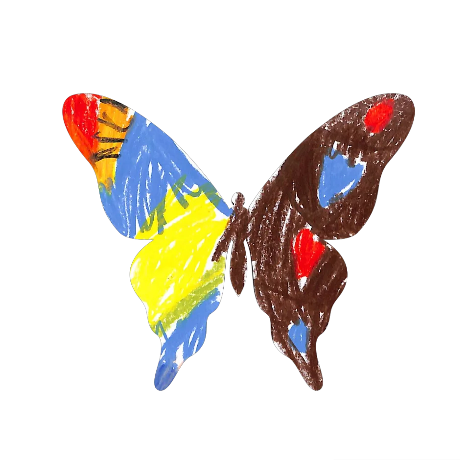 Original Butterfly Image