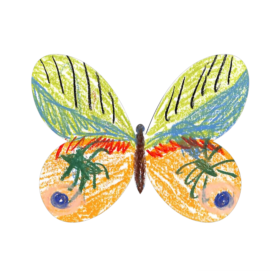Original Butterfly Image