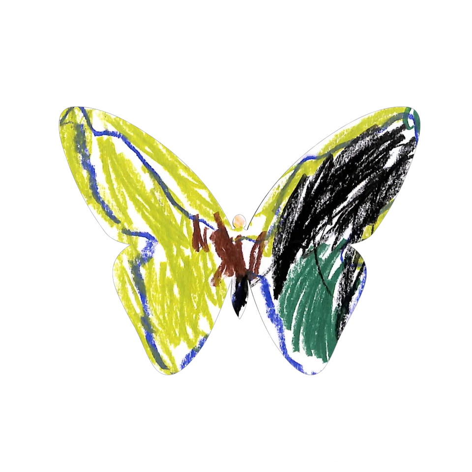Original Butterfly Image