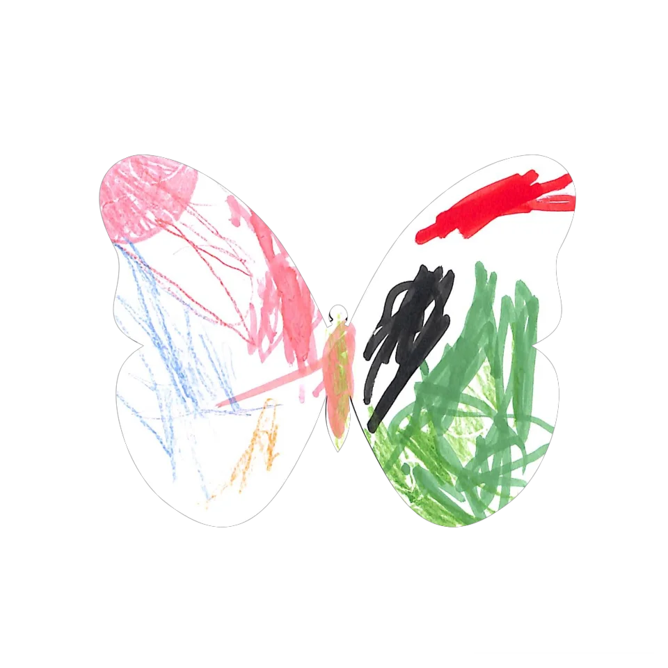 Original Butterfly Image