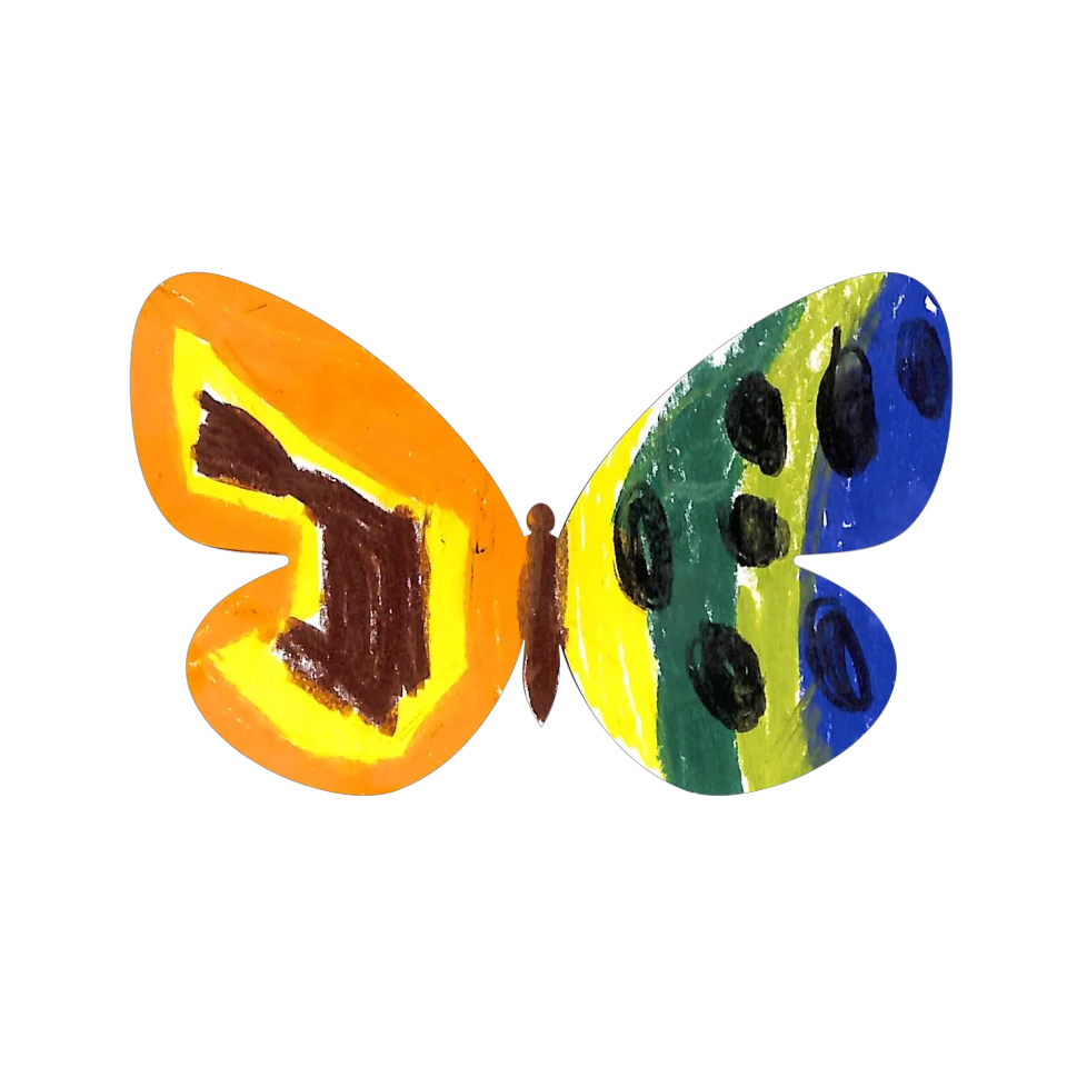 Original Butterfly Image