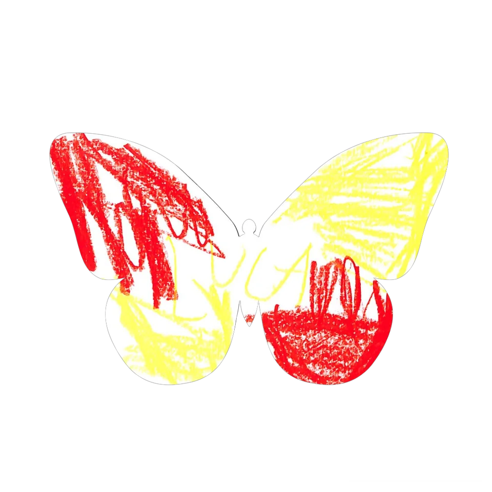 Original Butterfly Image