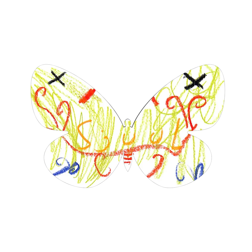 Original Butterfly Image