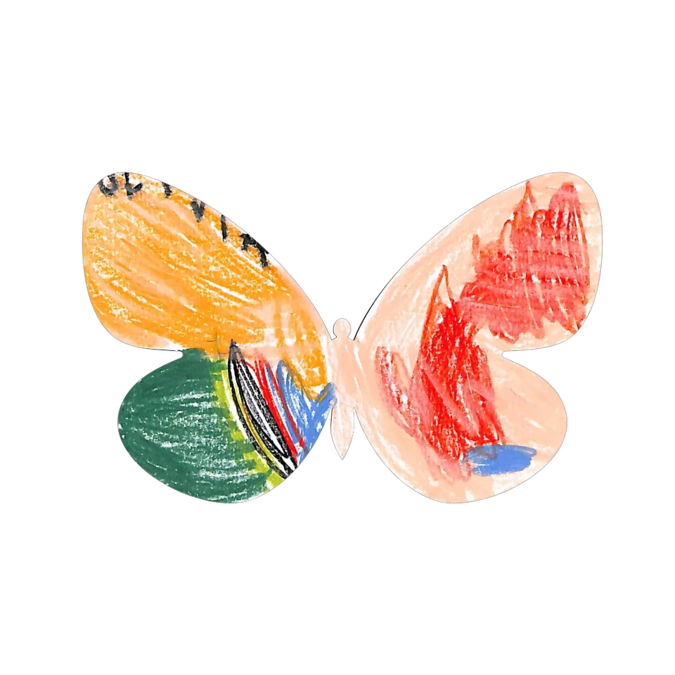 Original Butterfly Image