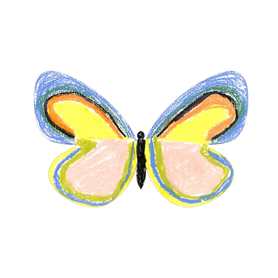Original Butterfly Image