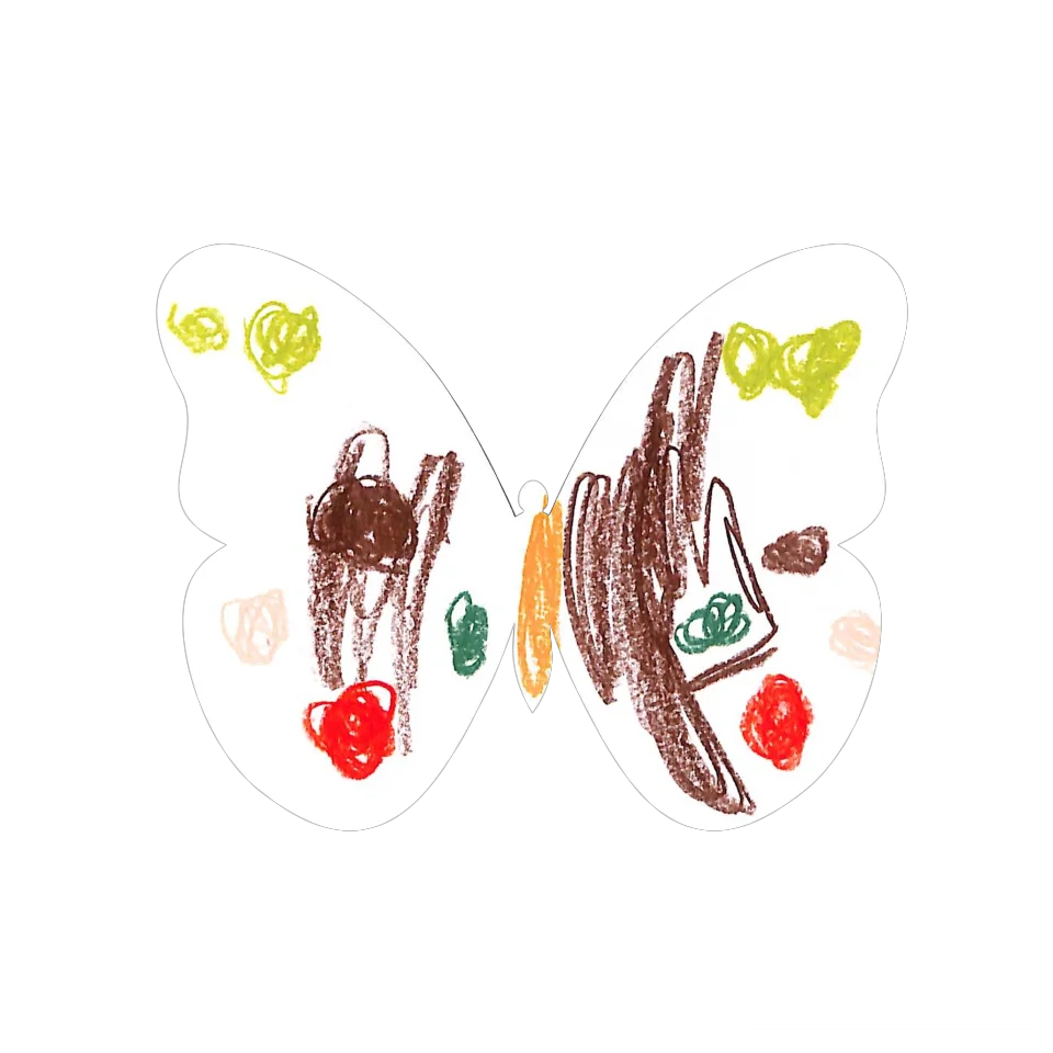 Original Butterfly Image