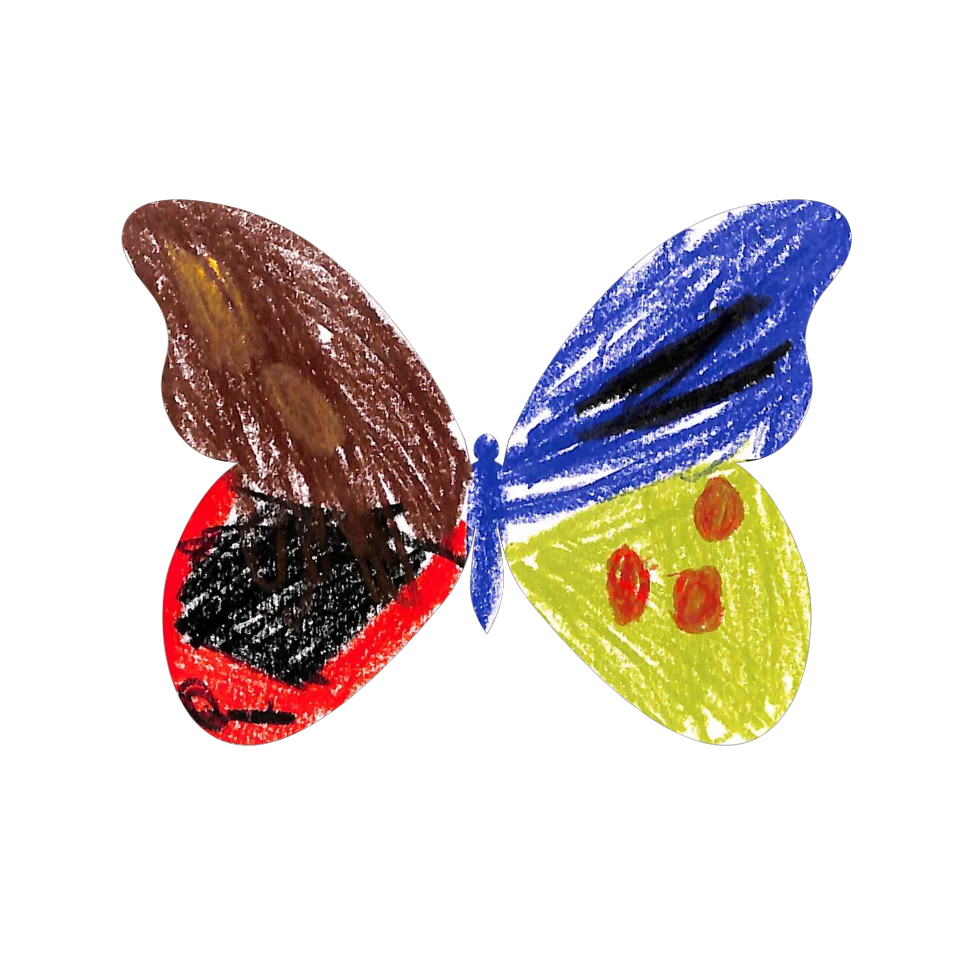 Original Butterfly Image
