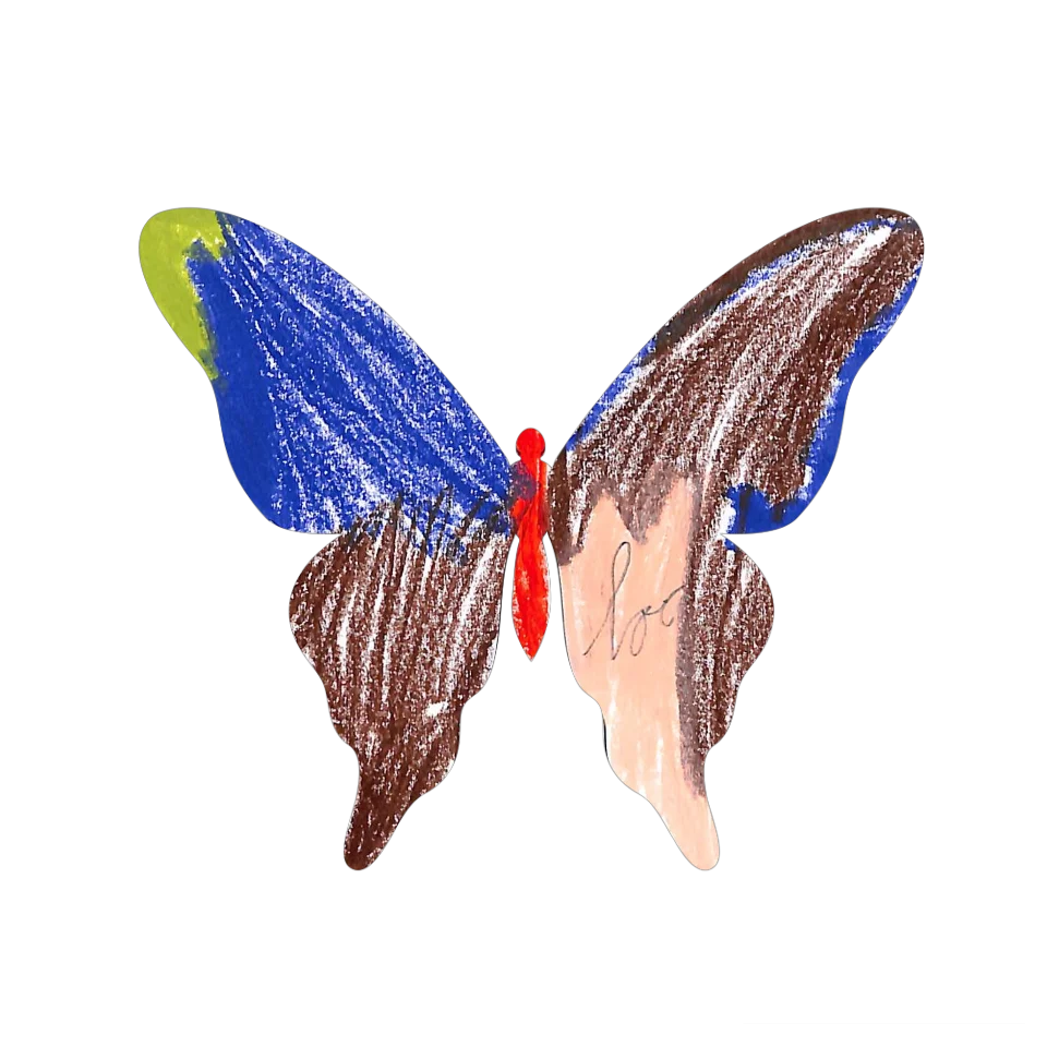 Original Butterfly Image