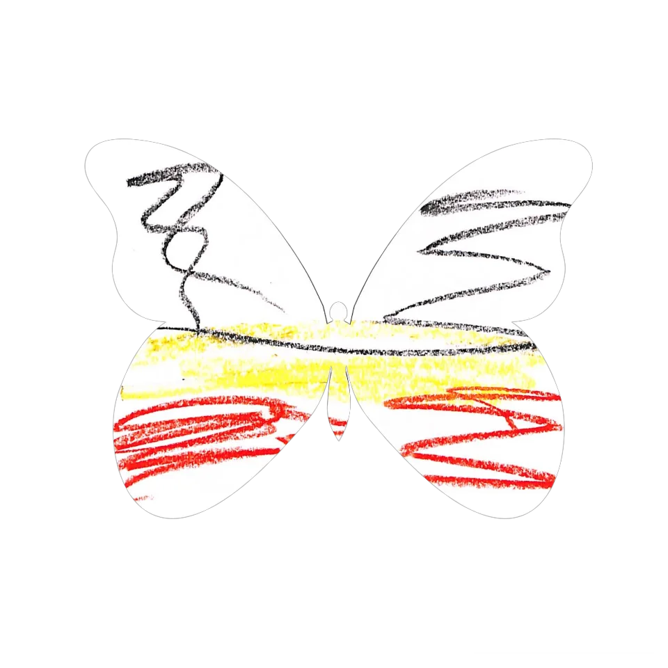 Original Butterfly Image