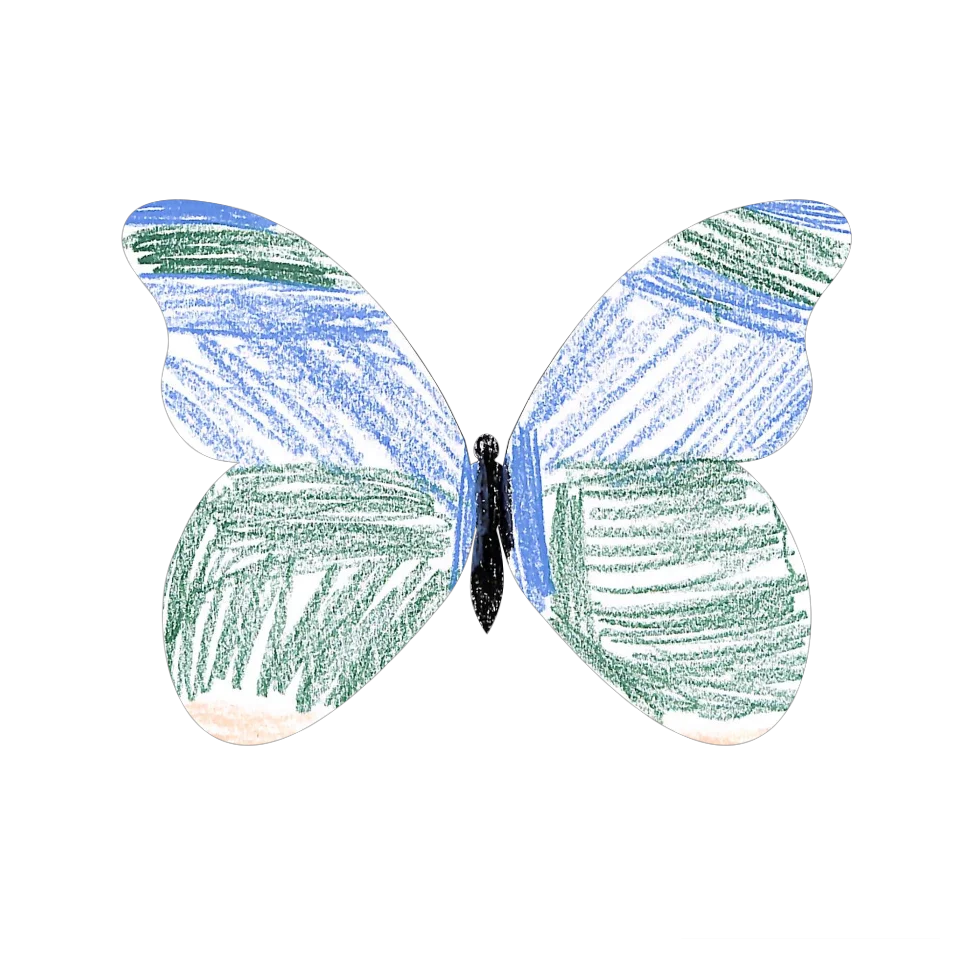 Original Butterfly Image