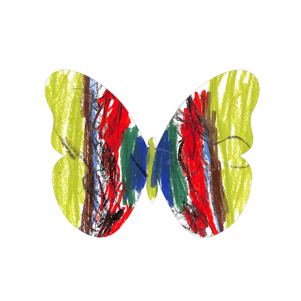 Original Butterfly Image