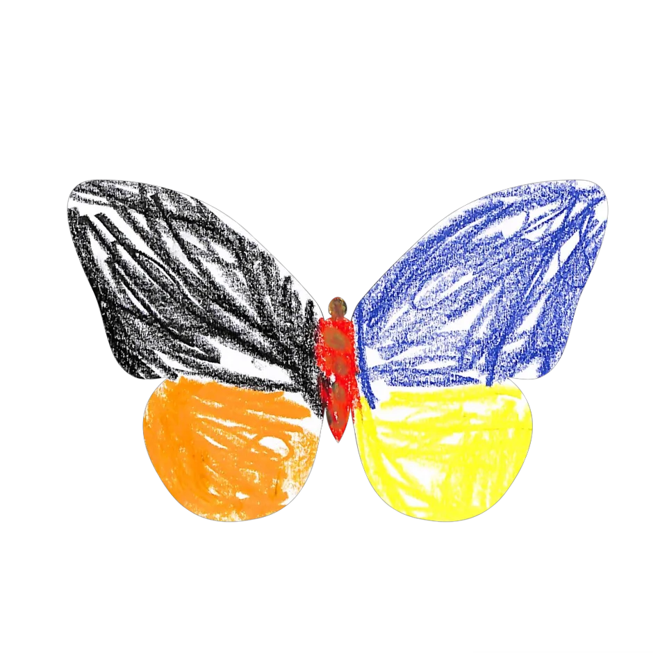 Original Butterfly Image