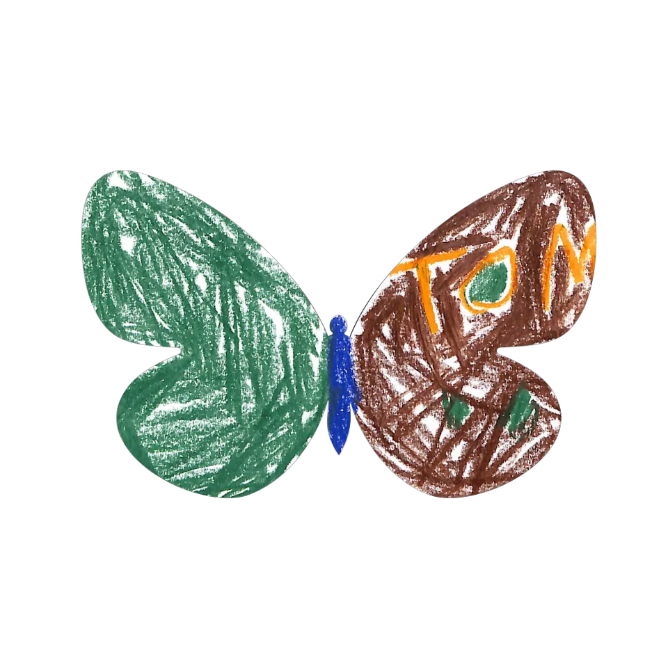 Original Butterfly Image