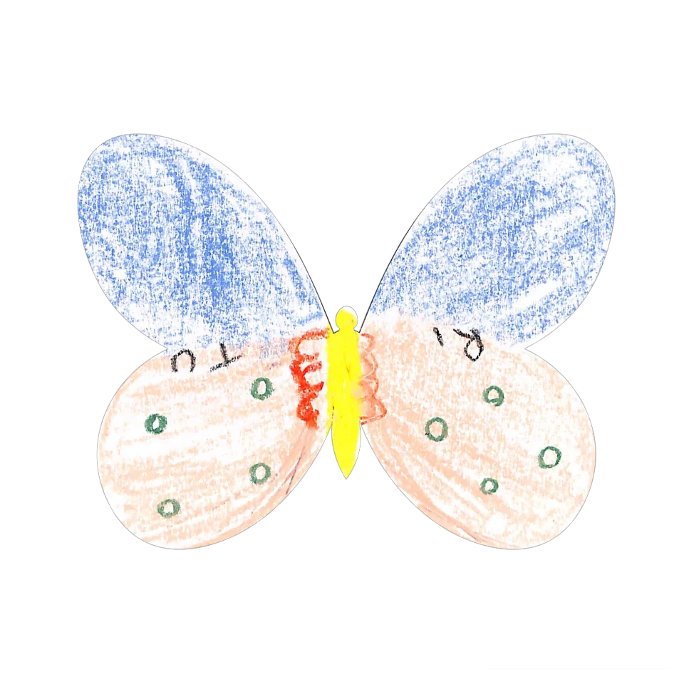 Original Butterfly Image