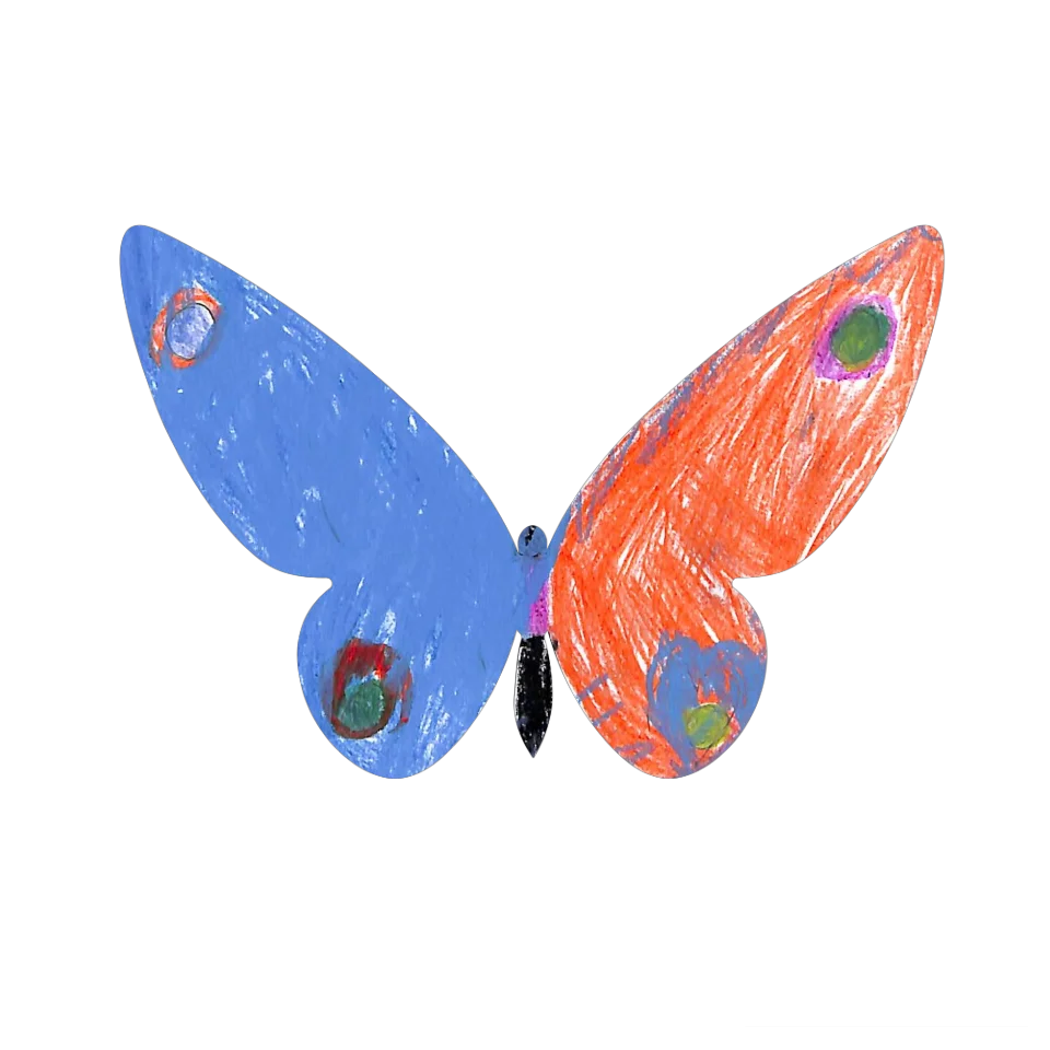 Original Butterfly Image