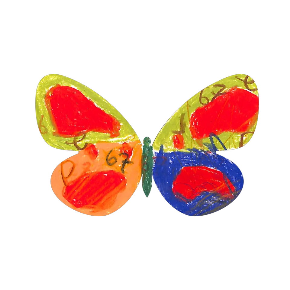 Original Butterfly Image