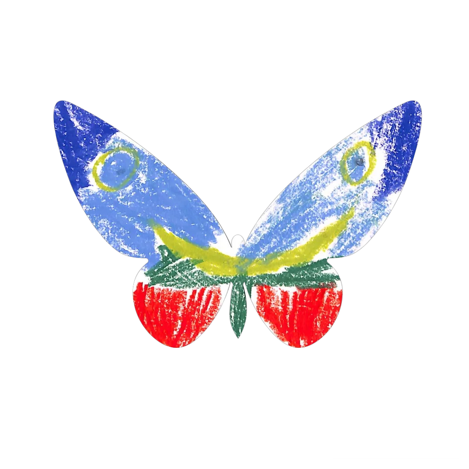 Original Butterfly Image