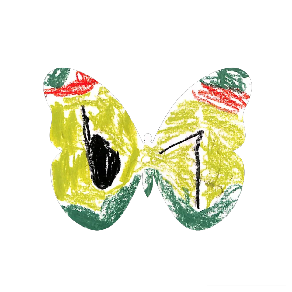 Original Butterfly Image