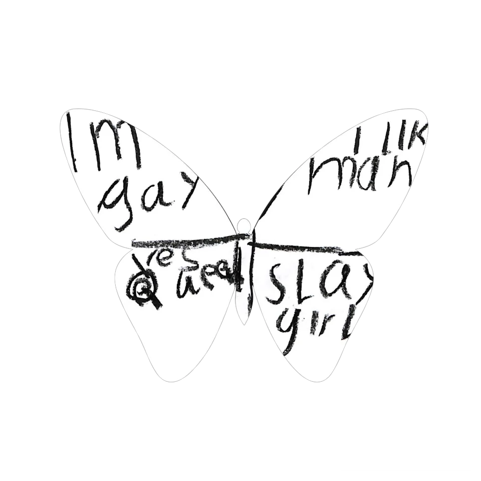 Original Butterfly Image