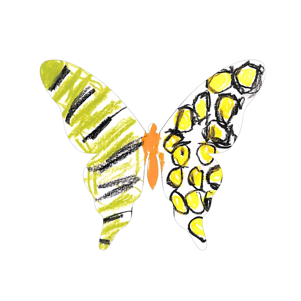 Original Butterfly Image