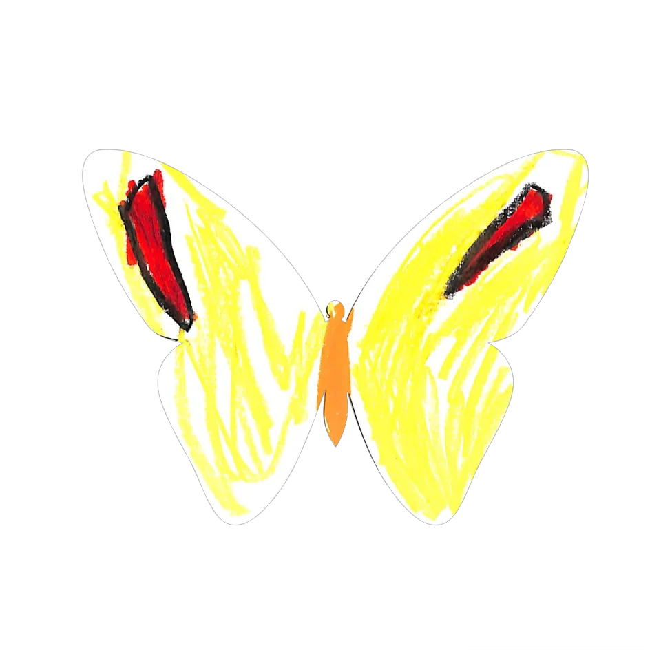 Original Butterfly Image