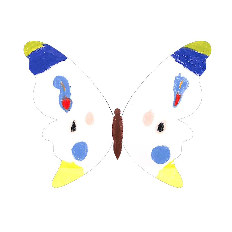 Original Butterfly Image