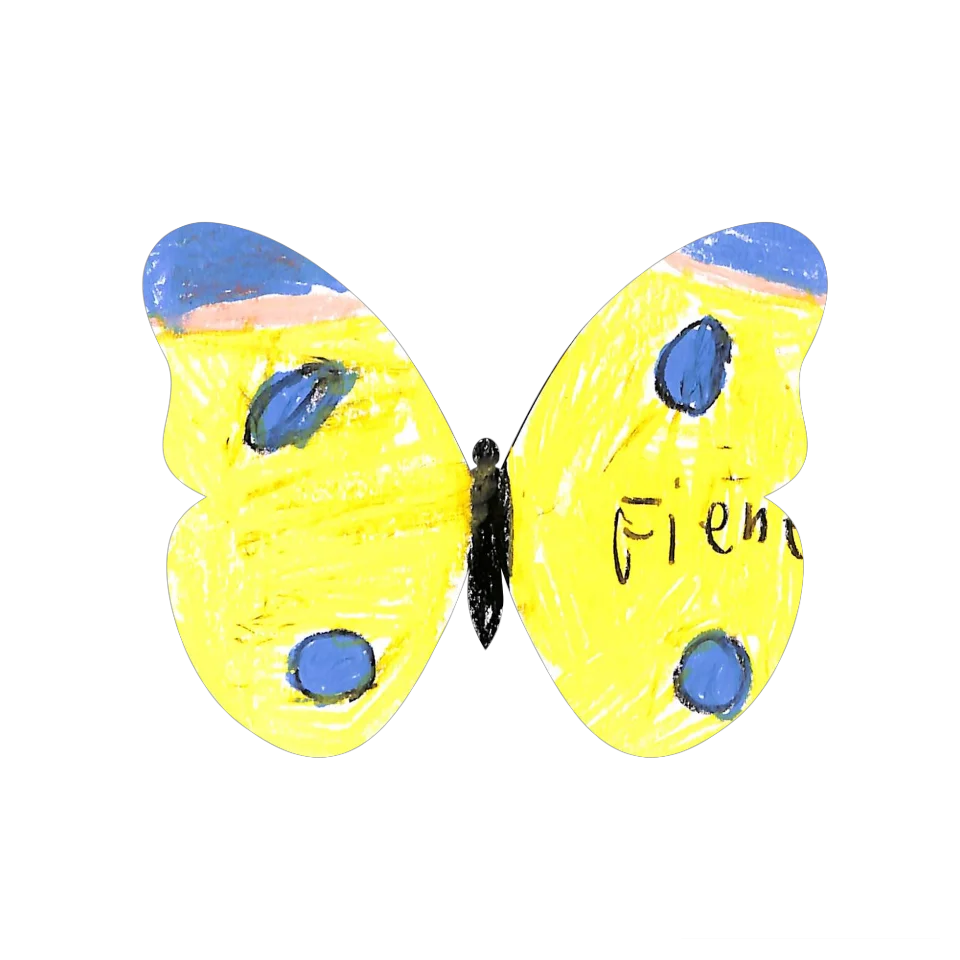 Original Butterfly Image