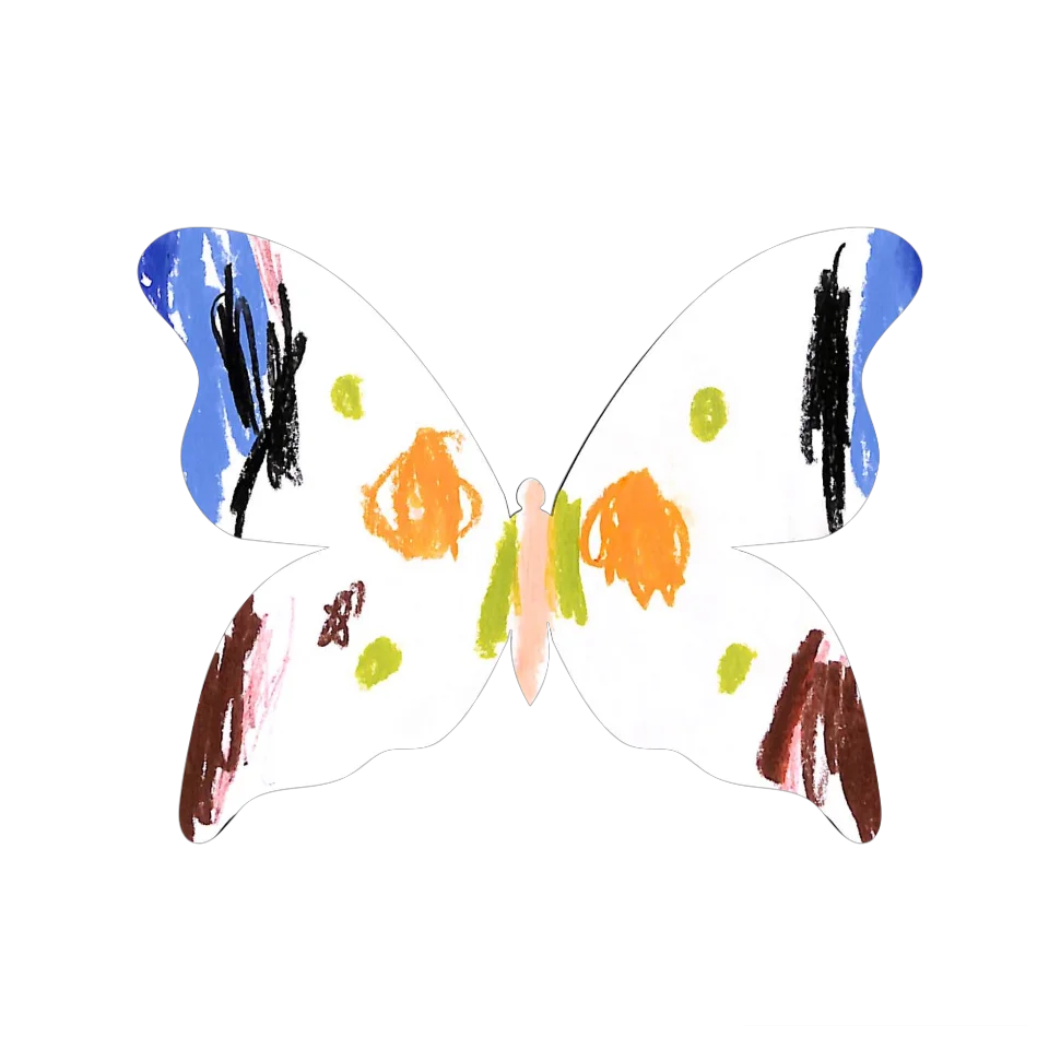 Original Butterfly Image