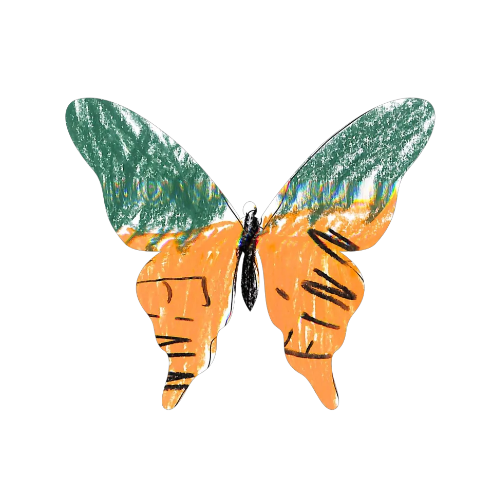 Original Butterfly Image