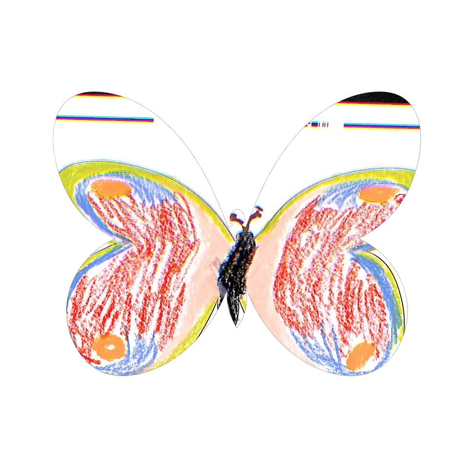 Original Butterfly Image
