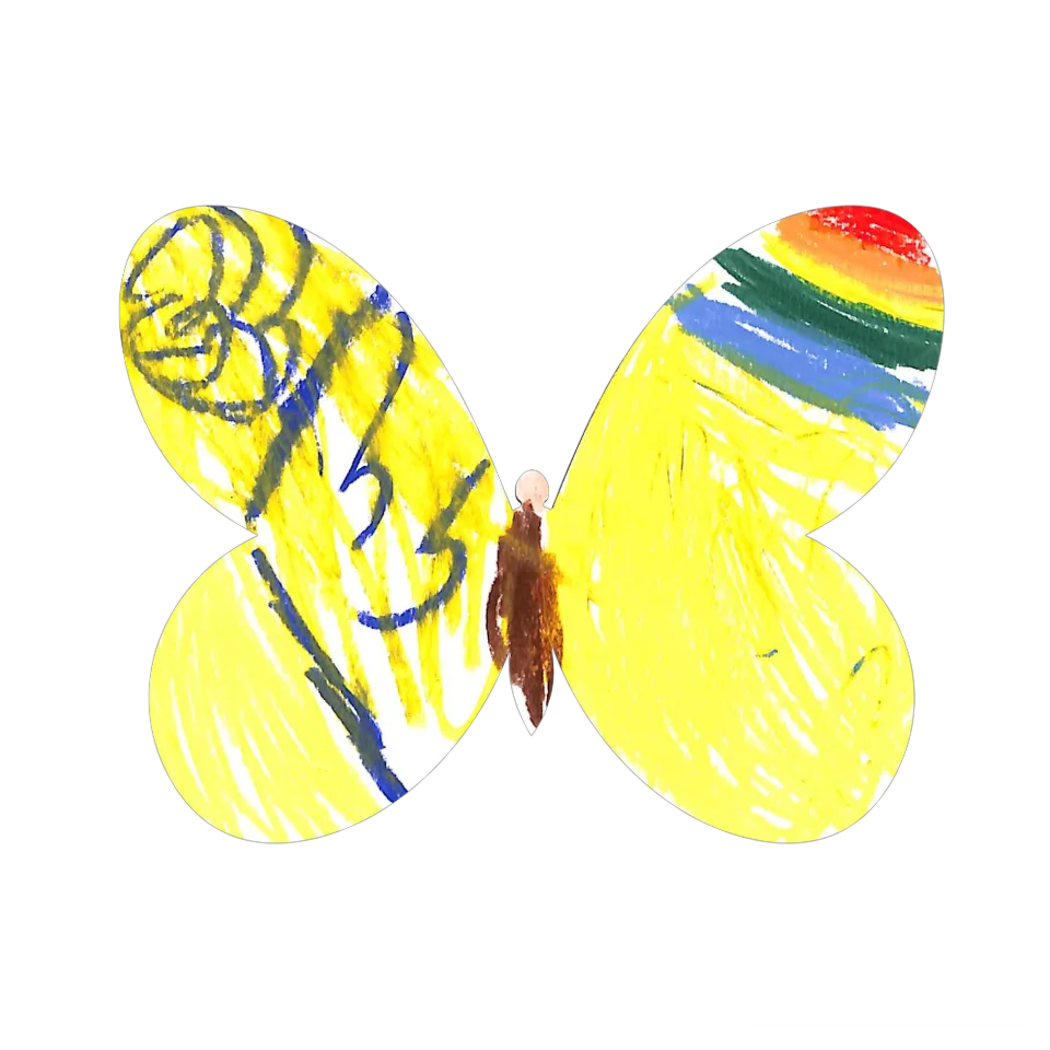 Original Butterfly Image