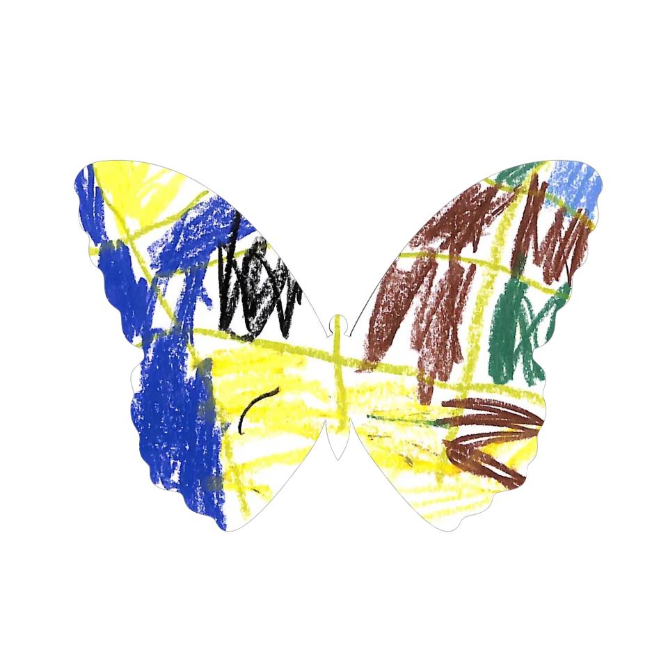 Original Butterfly Image
