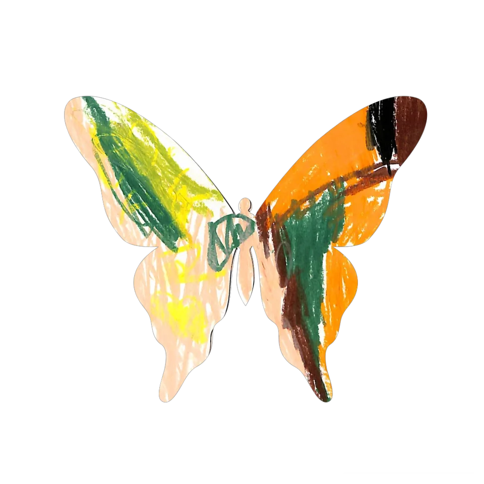 Original Butterfly Image