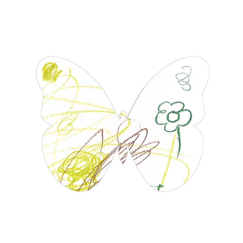 Original Butterfly Image