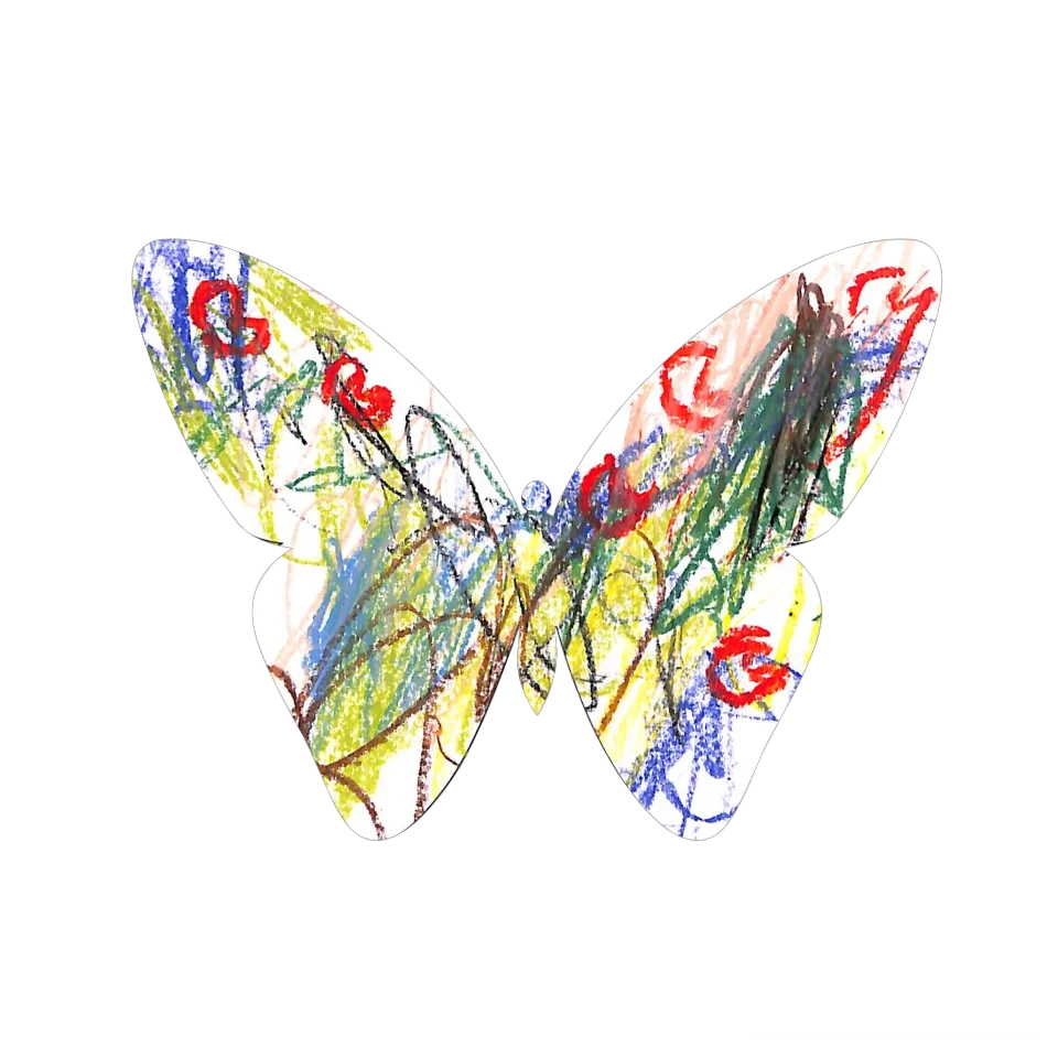 Original Butterfly Image