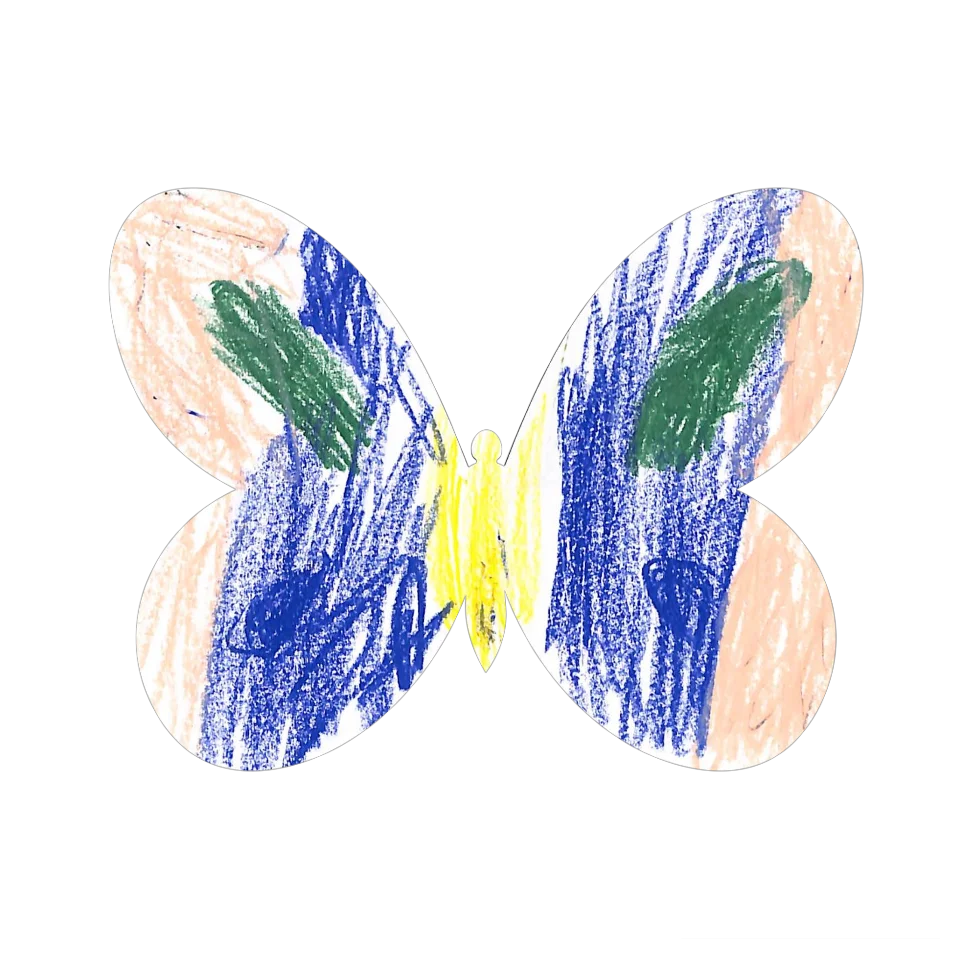 Original Butterfly Image